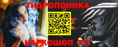 эйфоретик Аргун