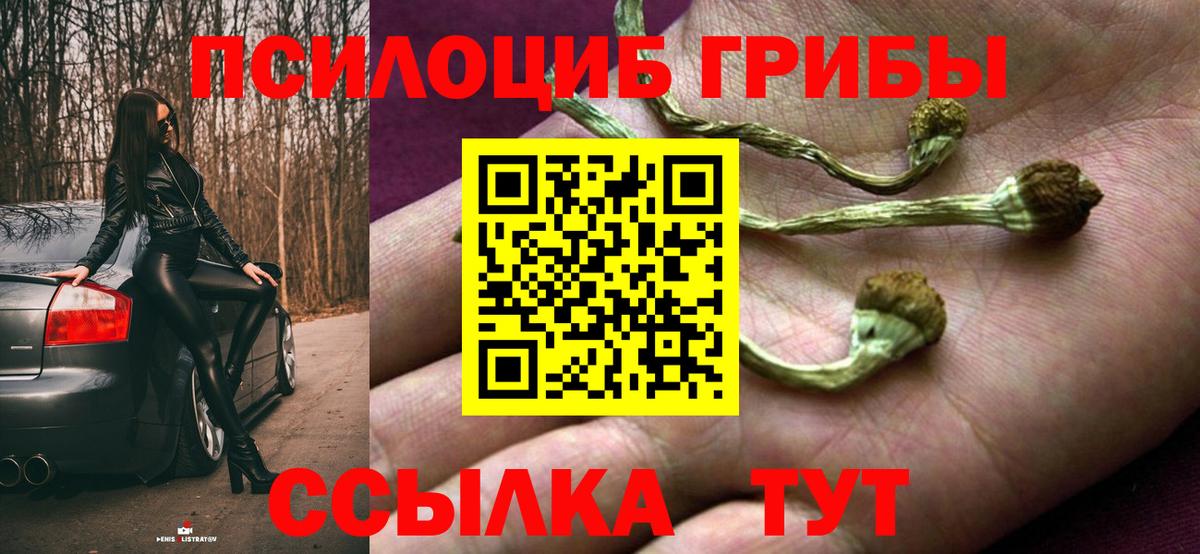 Галлюциногенные грибы GOLDEN TEACHER Гуково